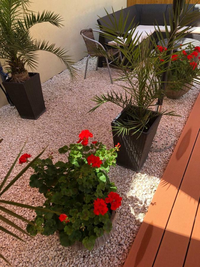 Mosoly Apartman Szeged Exterior foto
